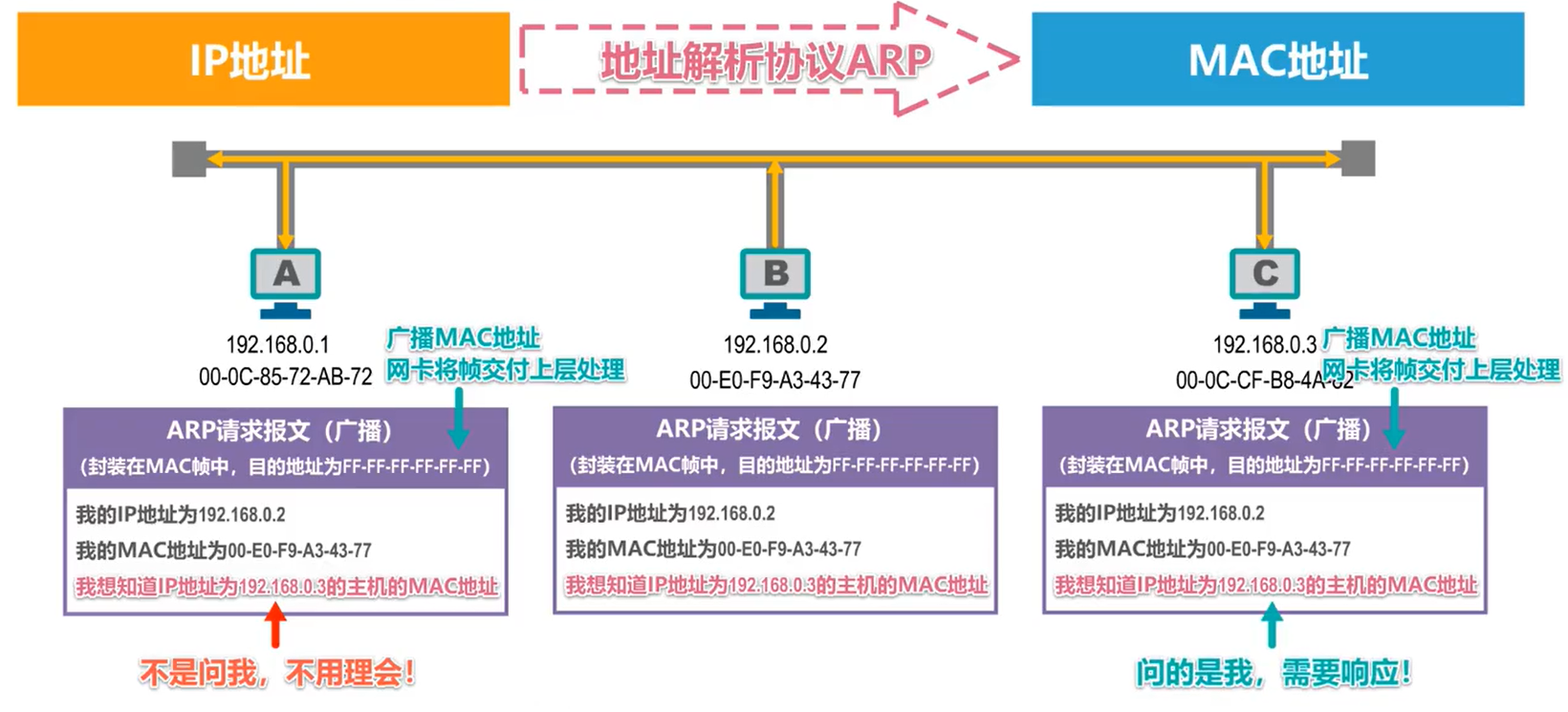 ARP请求报文传递过程