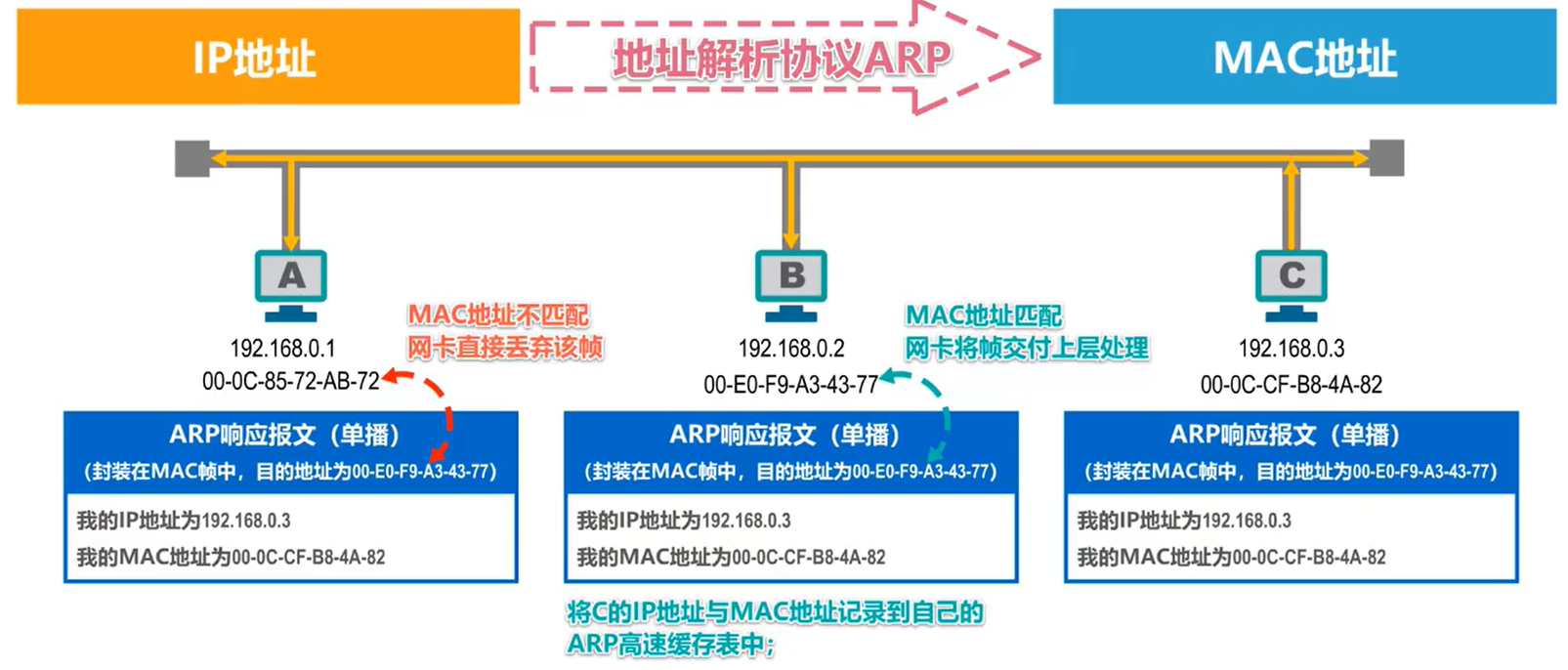 ARP响应报文传递过程