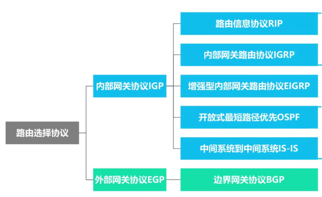 常见的路由选择协议